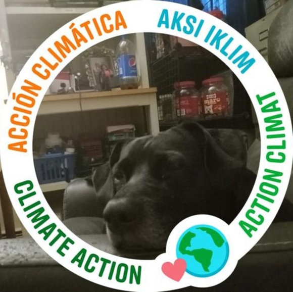 Meet your Posher, Beverly - Picture 1 of 1